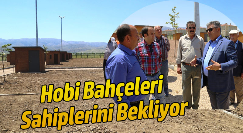 HOBİ BAHÇELERİMİZ SAHİPLERİNİ BEKLİYOR