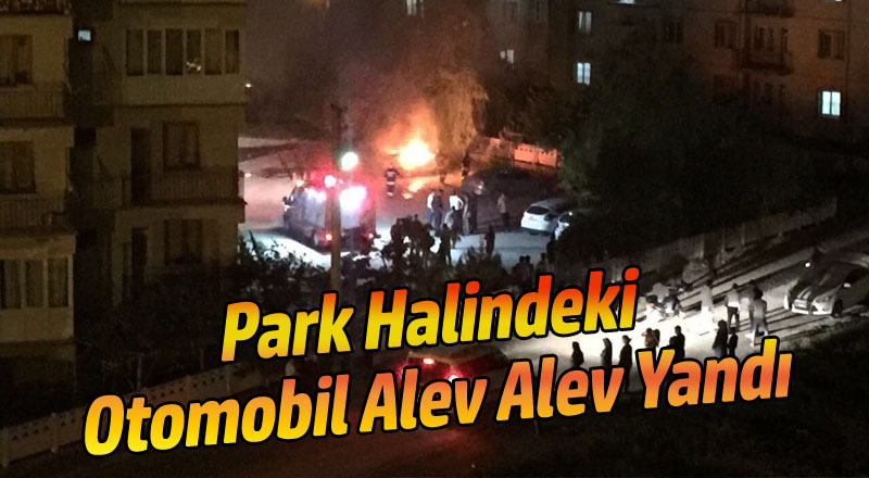 Park Halindeki Otomobil Alev Alev Yandı