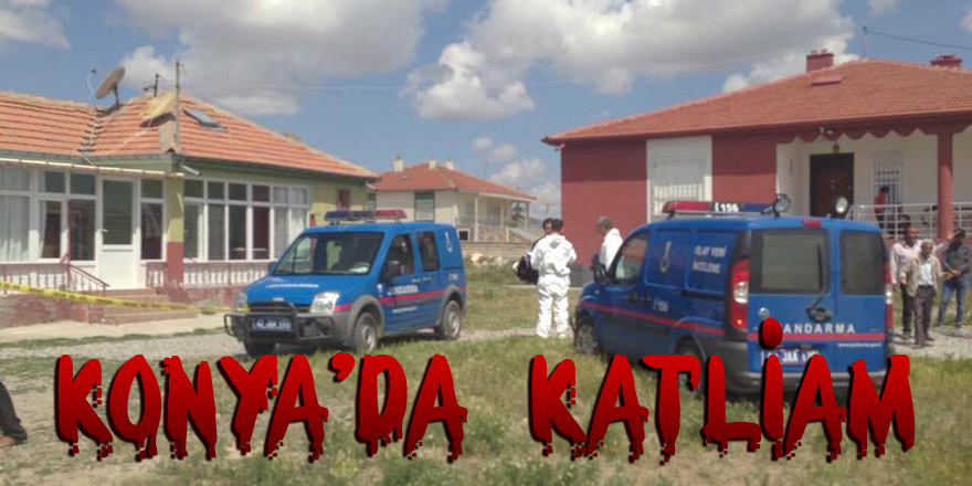 Şizofren Genç, 4 Ayrı Eve Girerek 5 Akrabasını Öldürdü.