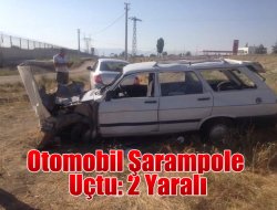 Kontrolden Çıkan Otomobil Şarampole Uçtu: 2 Yaralı