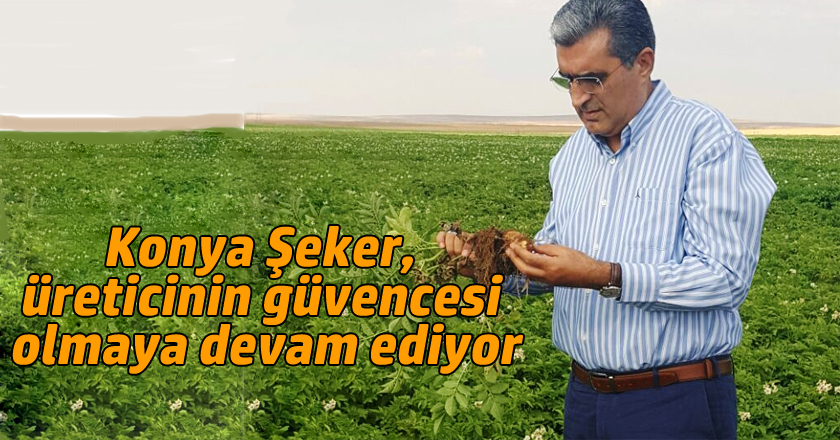 KONYA ŞEKER, PATATES ÜRETİMİNİN DE GÜVENCESİ