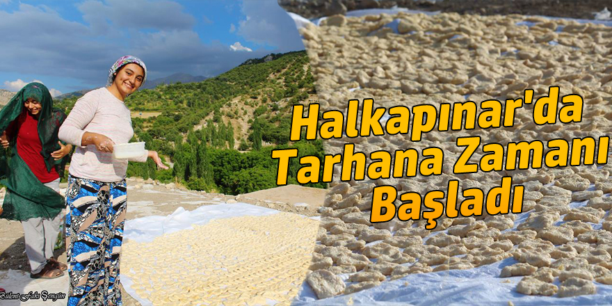 Halkapınar'da Tarhana Zamanı Başladı