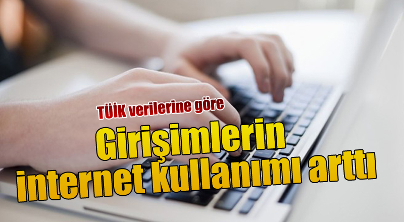 Girişimlerin internet kullanımı arttı