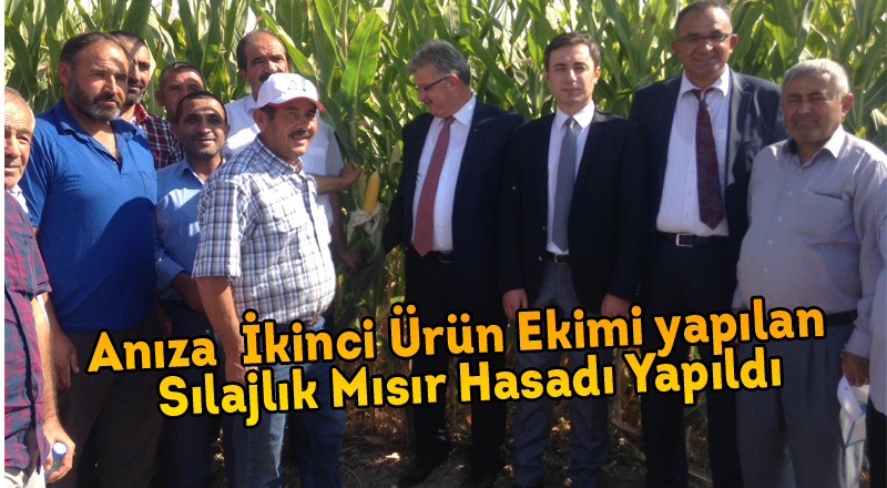 Tarla Gününde Anıza  İkinci Ürün Ekimi yapılan  Mısır Hasadı Yapıldı