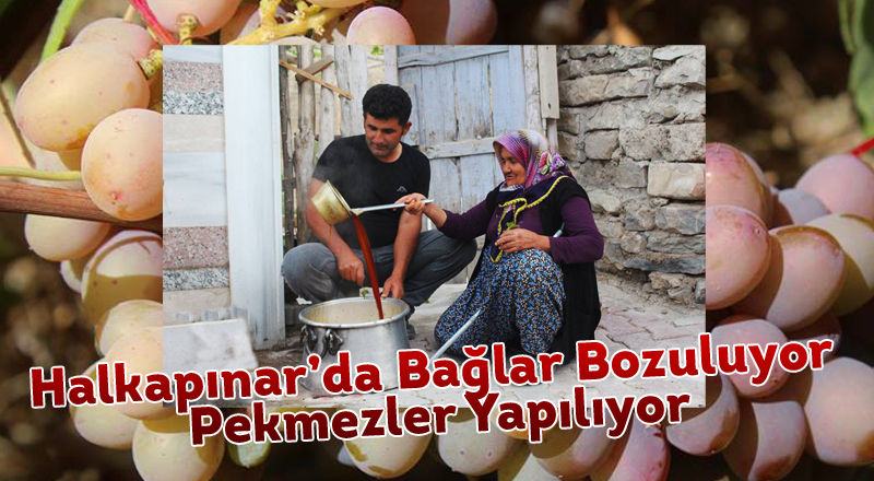Halkapınar’da Bağlar Bozuluyor Pekmezler Yapılıyor