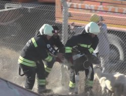 Şarampole uçan TIR’da Hayvan Kurtarma Operasyonu