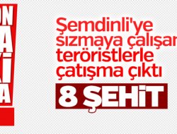 Şemdinli'de 8 şehit