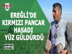 EREĞLİ’DE KIRMIZI PANCAR HASADI YÜZ GÜLDÜRDÜ