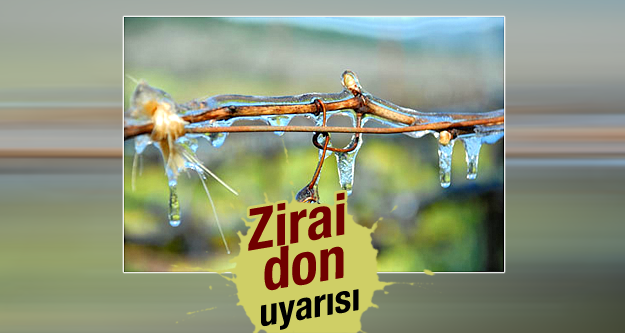 ZİRAİ DON UYARISI!