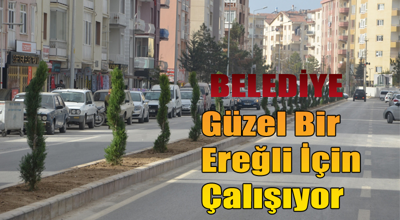 Estetik Ve Daha Güzel Bir Ereğli İçin Çalışıyoruz