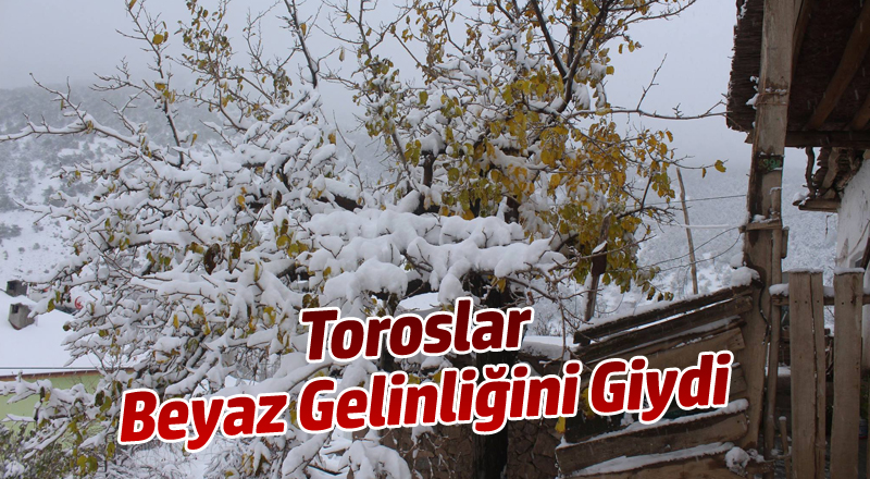 Toroslar Beyaz Gelinliğini Giydi