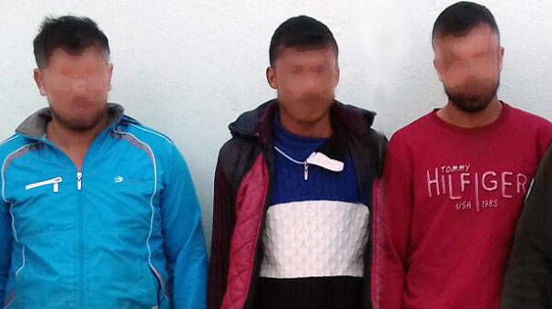 40 Güvercinin Başını Kopartan 3 Vicdansız Cani Yakalandı