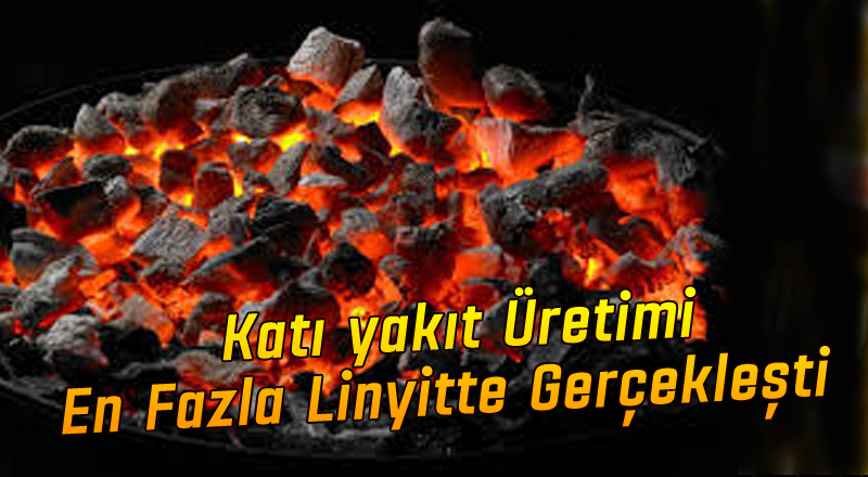 Katı yakıt Üretimi En Fazla Linyitte Gerçekleşti