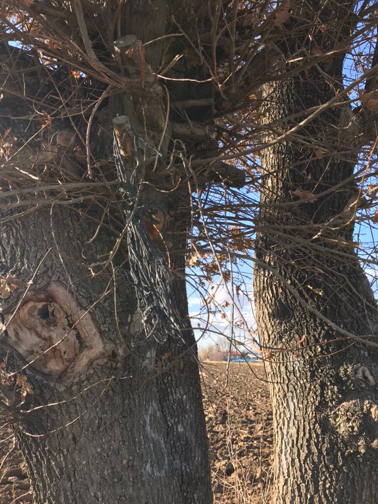 Jandarma Ekipleri Hayat Kurtardı