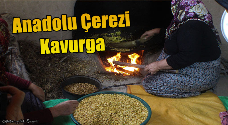 Anadolu Çerezi: Kavurga