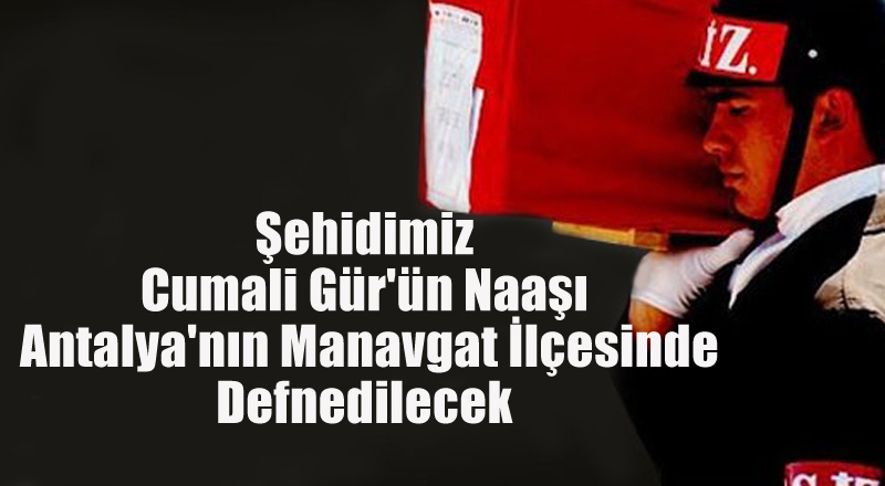 Ereğlili Asker Şehit Düştü