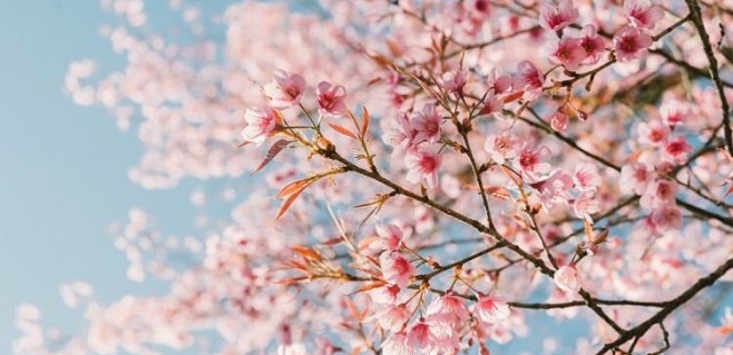 Başkan Düzen’den Nevruz Mesajı