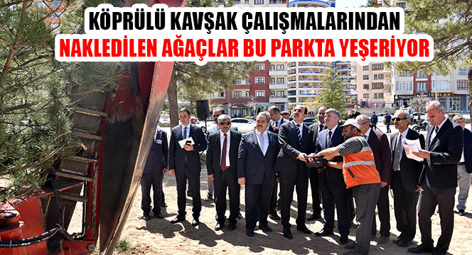 Köprülü Kavşak Çalışmalarından Nakledilen Ağaçlar Bu Parkta Yeşeriyor