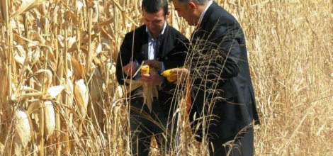 BAŞKAN ÖZGÜVEN’DEN DÜNYA ÇİFTÇİLER GÜNÜ MESAJI