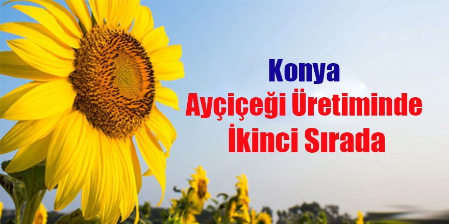 İnşaat Maliyet Endeksi, Arttı