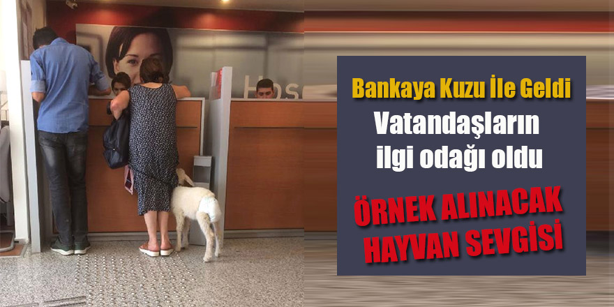 Bankaya Kuzu ile Geldi