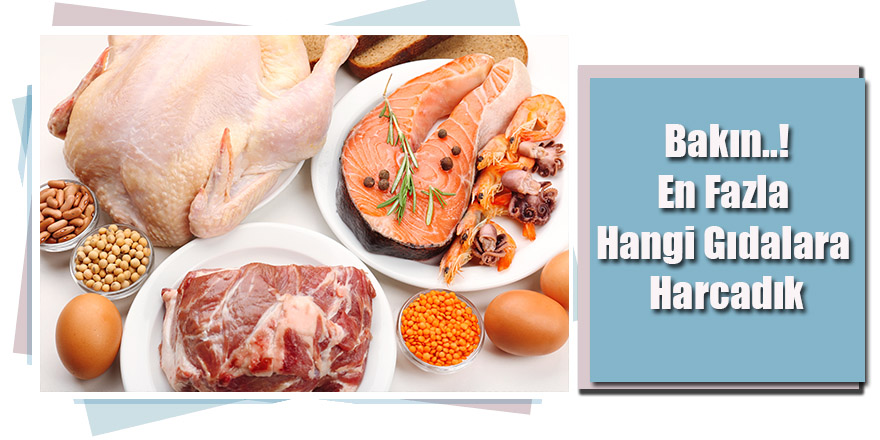 En Fazla Hangi Gıdalara Harcadık