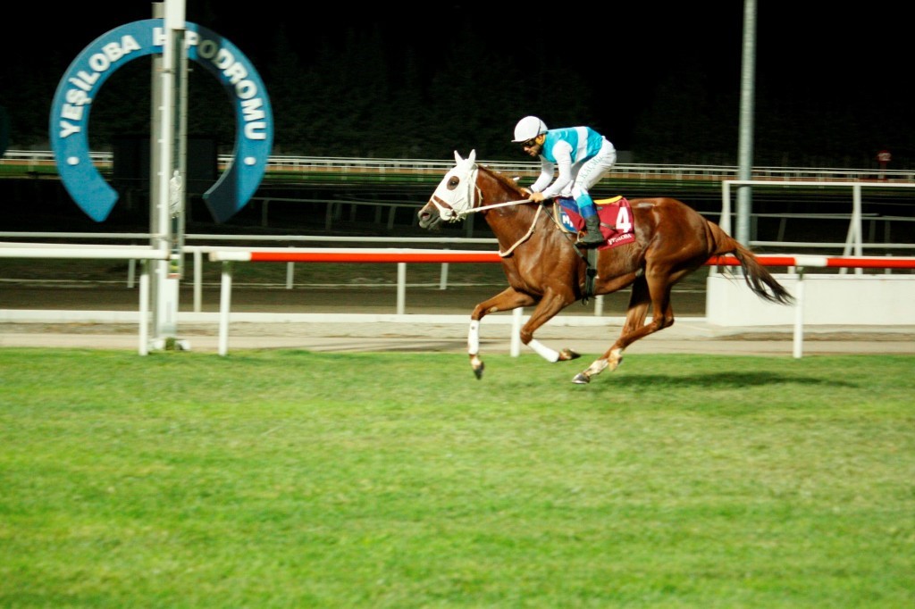 EREĞLİ BELEDİYE BAŞKANLIĞI KOŞUSU GERÇEKLEŞTİ