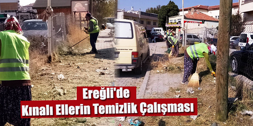 EREĞLİ'DE KINALI ELLERİN TEMİZLİK ÇALIŞMASI