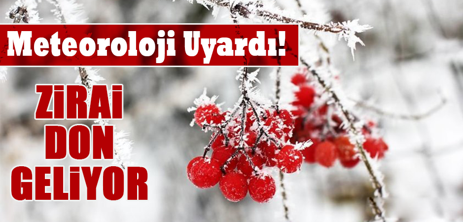 METEOROLOJİDEN ZİRAİ DON  UYARISI!