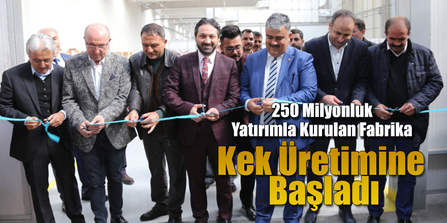 LARK, KEK ÜRETİMİNE BAŞLADI