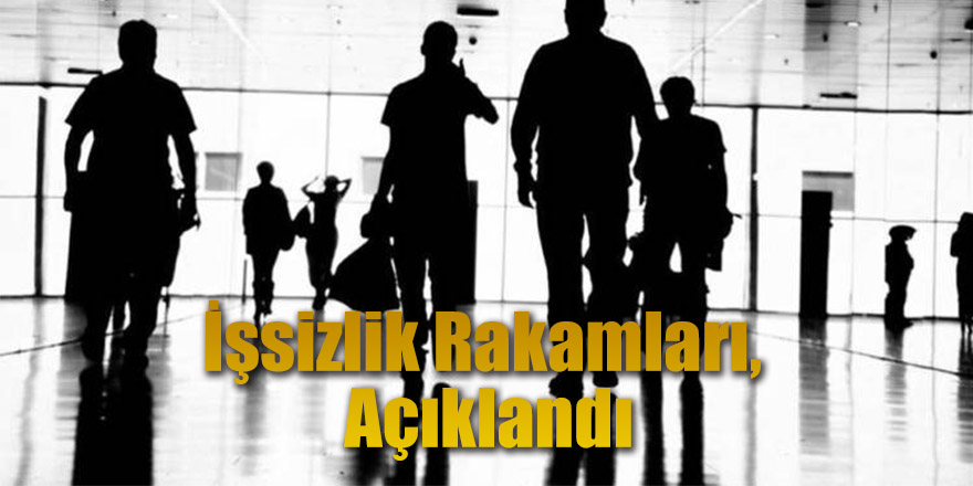 İşgücü İstatistikleri, Açıklandı