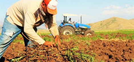 Çiftçi Kayıt Sistemi'ne başvuru süresi uzatıldı