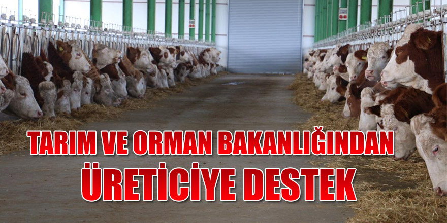 TARIM VE ORMAN BAKANLIĞINDAN ÜRETİCİYE DESTEK.