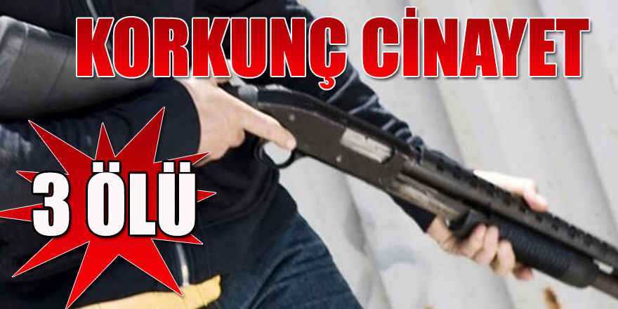 KONYA'DA ANNE VE İKİ ÇOCUĞU ÖLDÜRÜLDÜ, ŞÜPHELİ KOCA KAYIP.