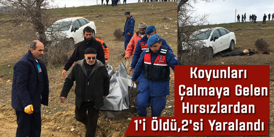 Koyunlarını Çalmaya Gelenlerden 1'ini Öldürdü, 2'sini Yaraladı