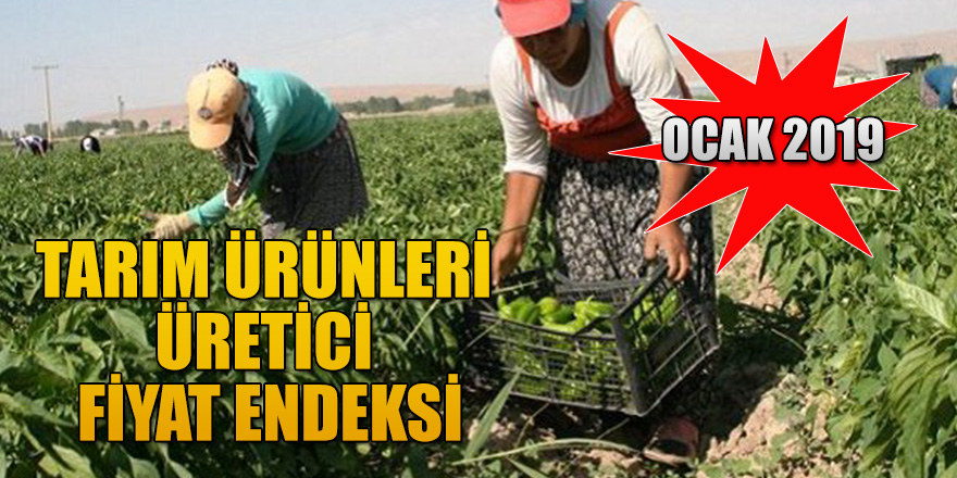 Tarım Ürünleri Üretici Fiyat Endeksi, Ocak 2019
