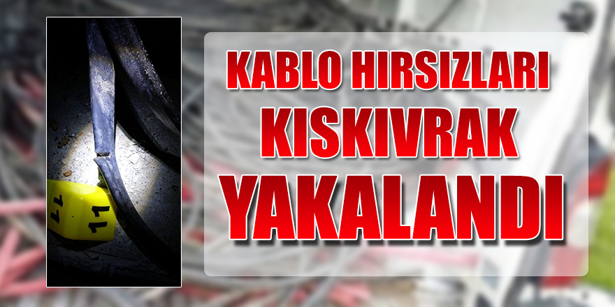 Trafonun Kablolarını Çalamadan Yakalanıp Tutuklandılar