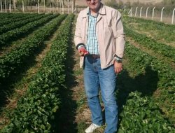 SOYLU'DAN BİLGİLENDİRİCİ AÇIKLAMA