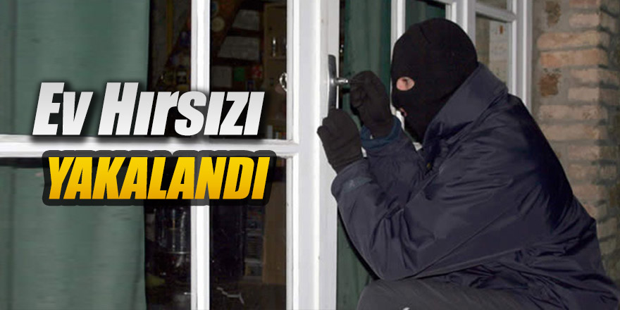 EV HIRSIZI YAKALANDI