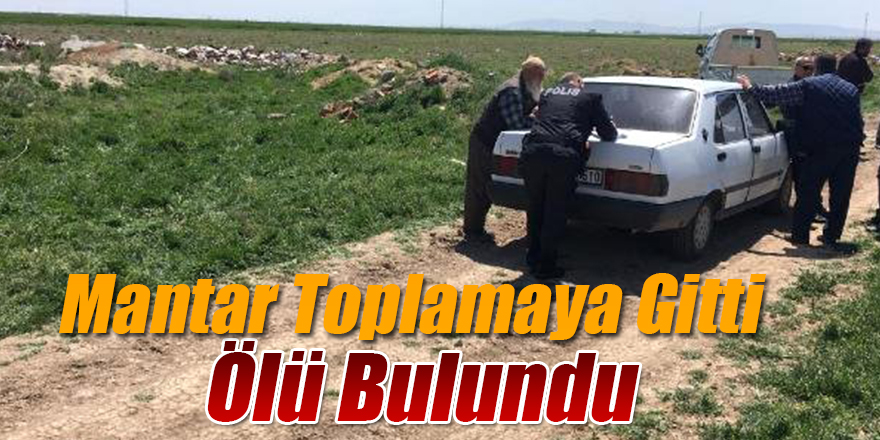 Mantar Toplamaya Gitti, Ölü Bulundu