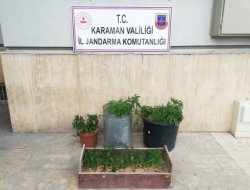 Jandarma’dan uyuşturucu operasyonu: 2 gözaltı