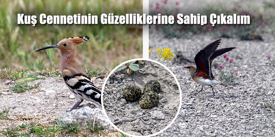 Doğaseverlerden sitem dolu tepki!