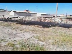 DOĞASEVERLERİN TEPKİSİNE NEDEN O YANGIN!