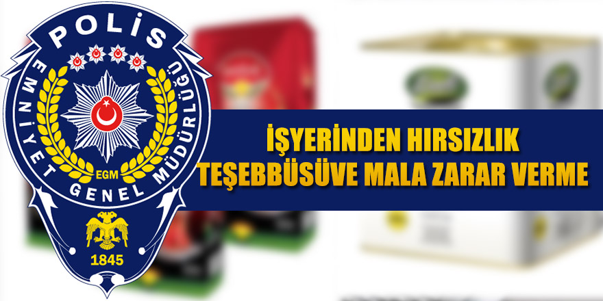 İşyerinden Hırsızlık Teşebbüsüve Mala Zarar Verme