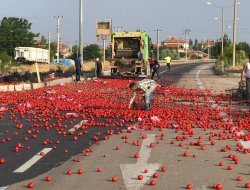 Karayolu domates tarlasına döndü