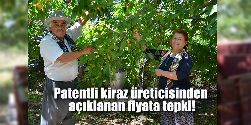 Patentli kiraz üreticisinden açıklanan fiyata tepki!