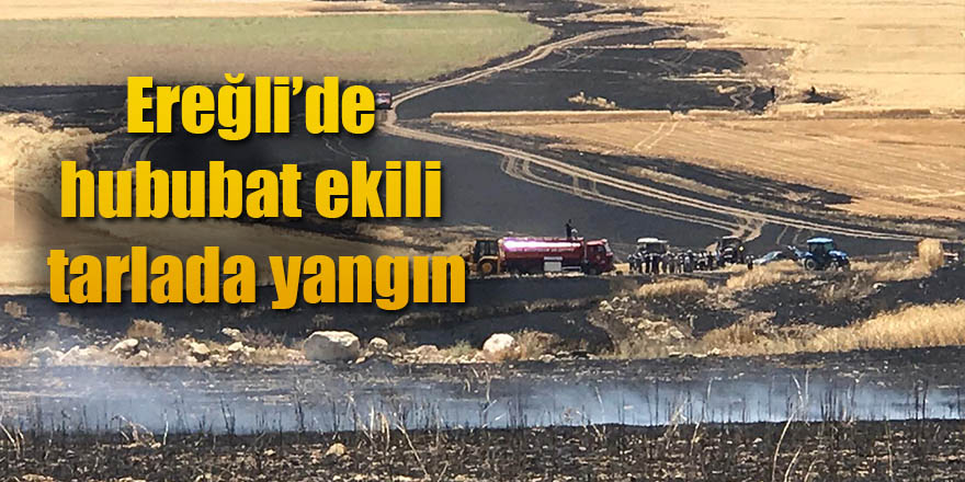 Ereğli’de Hububat Ekili Tarlada Yangın