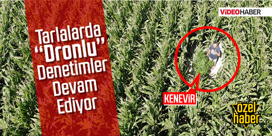 Karapınar Polisi Zehir Tarlalarını Bir Bir Tespit Ediyor!