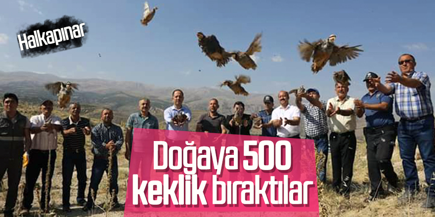 Kınalı Keklikler Halkapınar'da Doğaya Bırakıldı