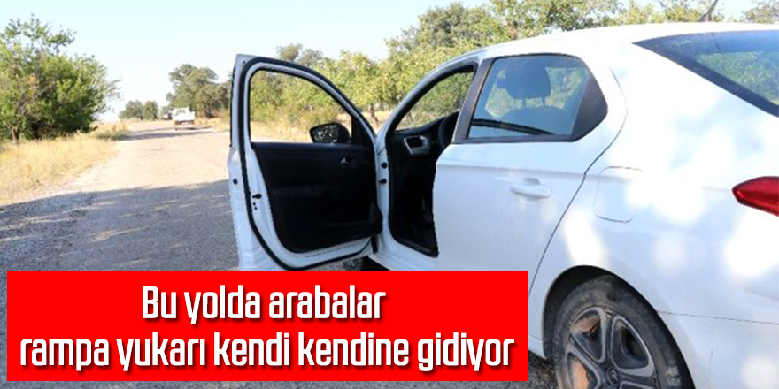 Bu yolda arabalar rampa yukarı kendi kendine gidiyor
